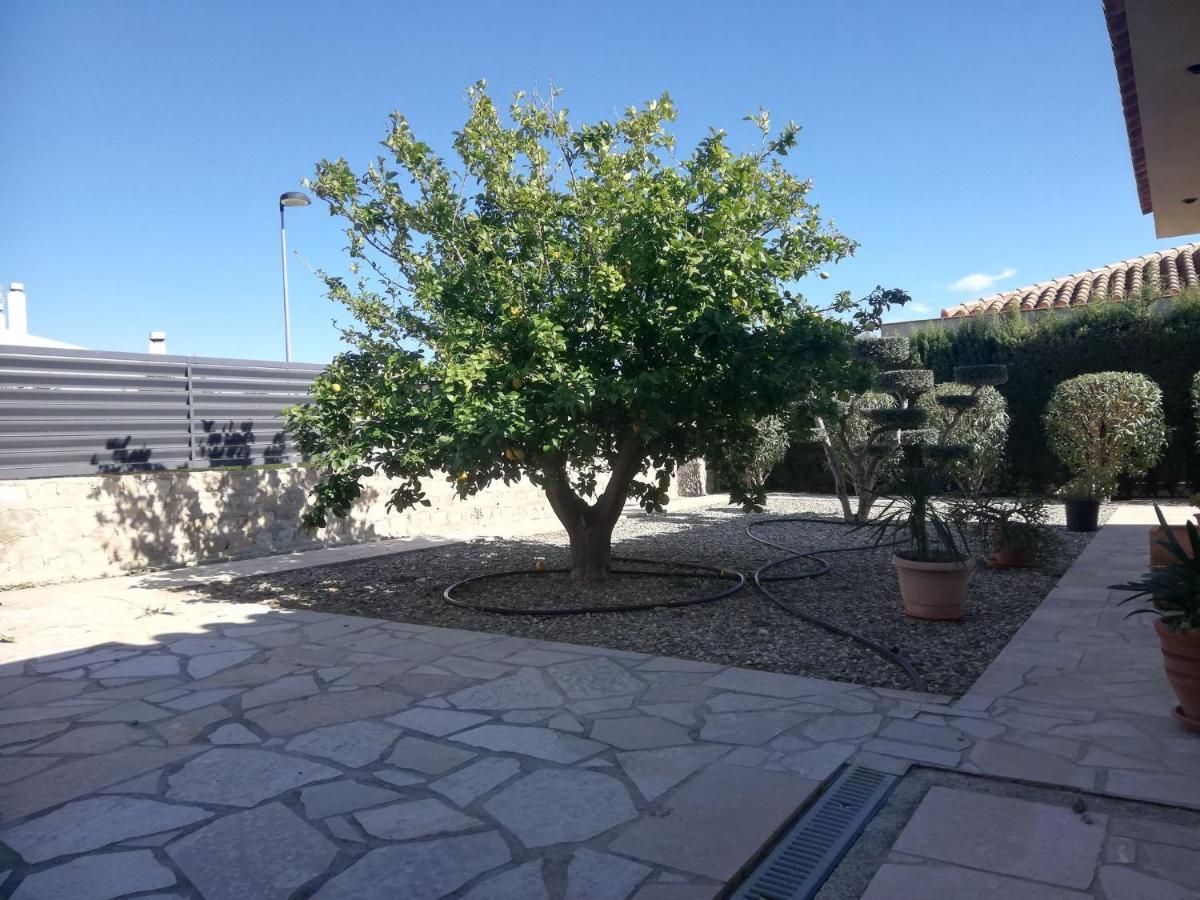卡拉法特Casa La Rana别墅 外观 照片